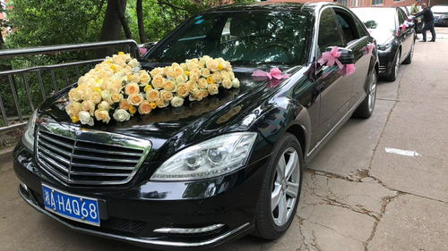 河南租車(chē)報(bào)價(jià)、廠家資源與二手車(chē)經(jīng)銷市場(chǎng)概覽