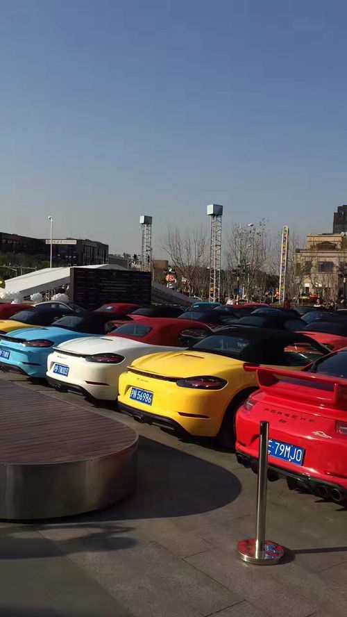 廣東保時捷租賃服務與上海租車市場 企業自駕與長包車新選擇